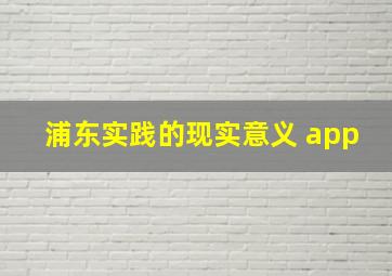 浦东实践的现实意义 app